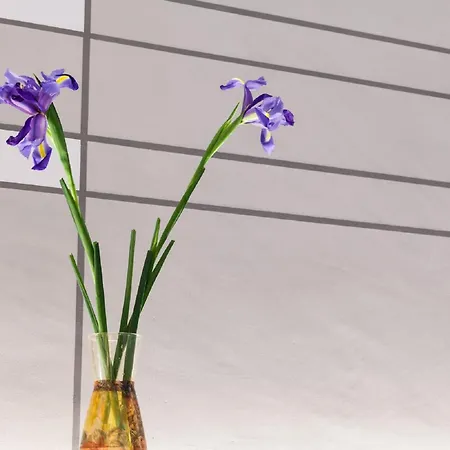 Palazzo Dei Ciompi Aparthotel